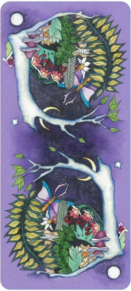 Tarot of a Moon Garden Borderless Deck & Book Set